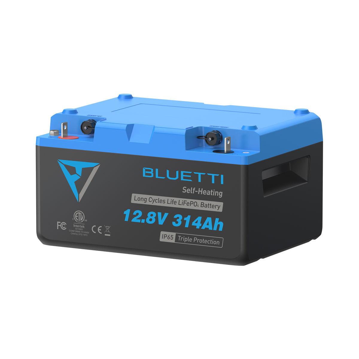 B1232 Batteria LiFePO₄ | 12,8 V, 314 Ah