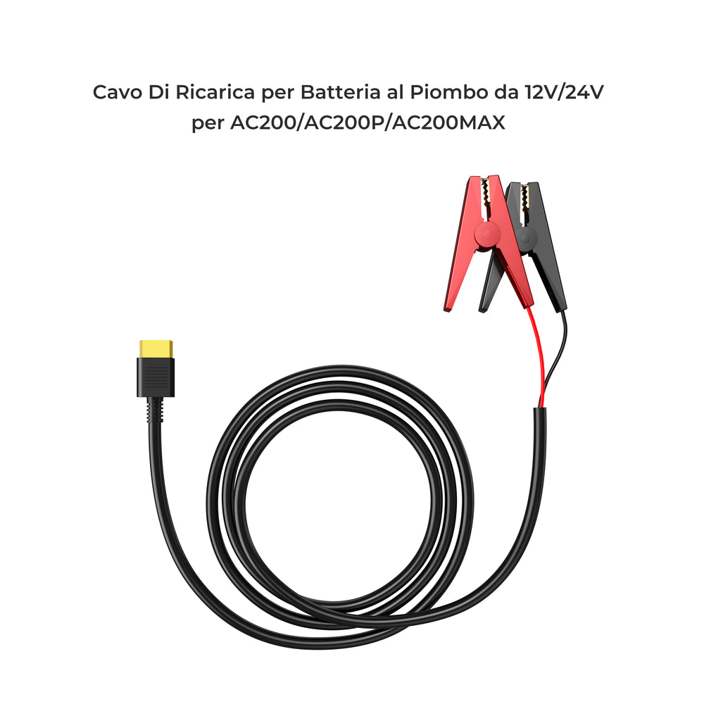 Cavo di ricarica per batteria al piombo da 12 V/24 V per AC200/P/MAX/AC300/EP500Pro