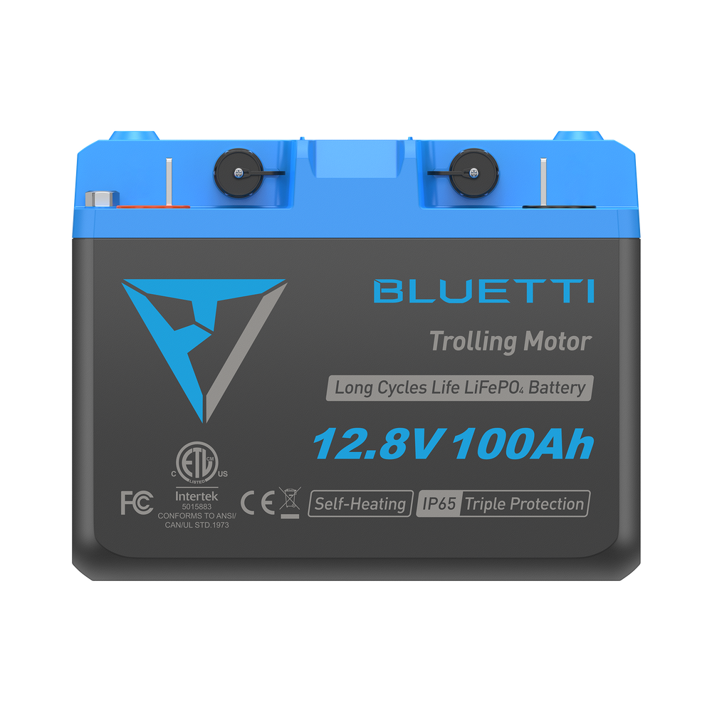 B1210 Batteria LiFePO₄ per motore da traina | 12,8 V, 100 Ah (AMZ)