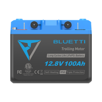 B1210 Batteria LiFePO₄ per motore da traina | 12,8 V, 100 Ah (AMZ)