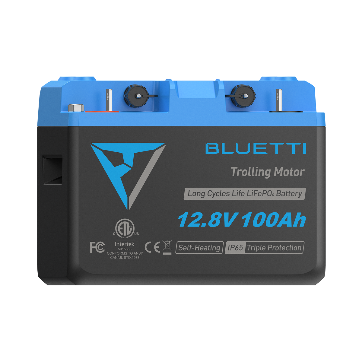 B1210 Batteria LiFePO₄ per motore da traina | 12,8 V, 100 Ah (AMZ)