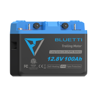 B1210 Batteria LiFePO₄ per motore da traina | 12,8 V, 100 Ah (AMZ)