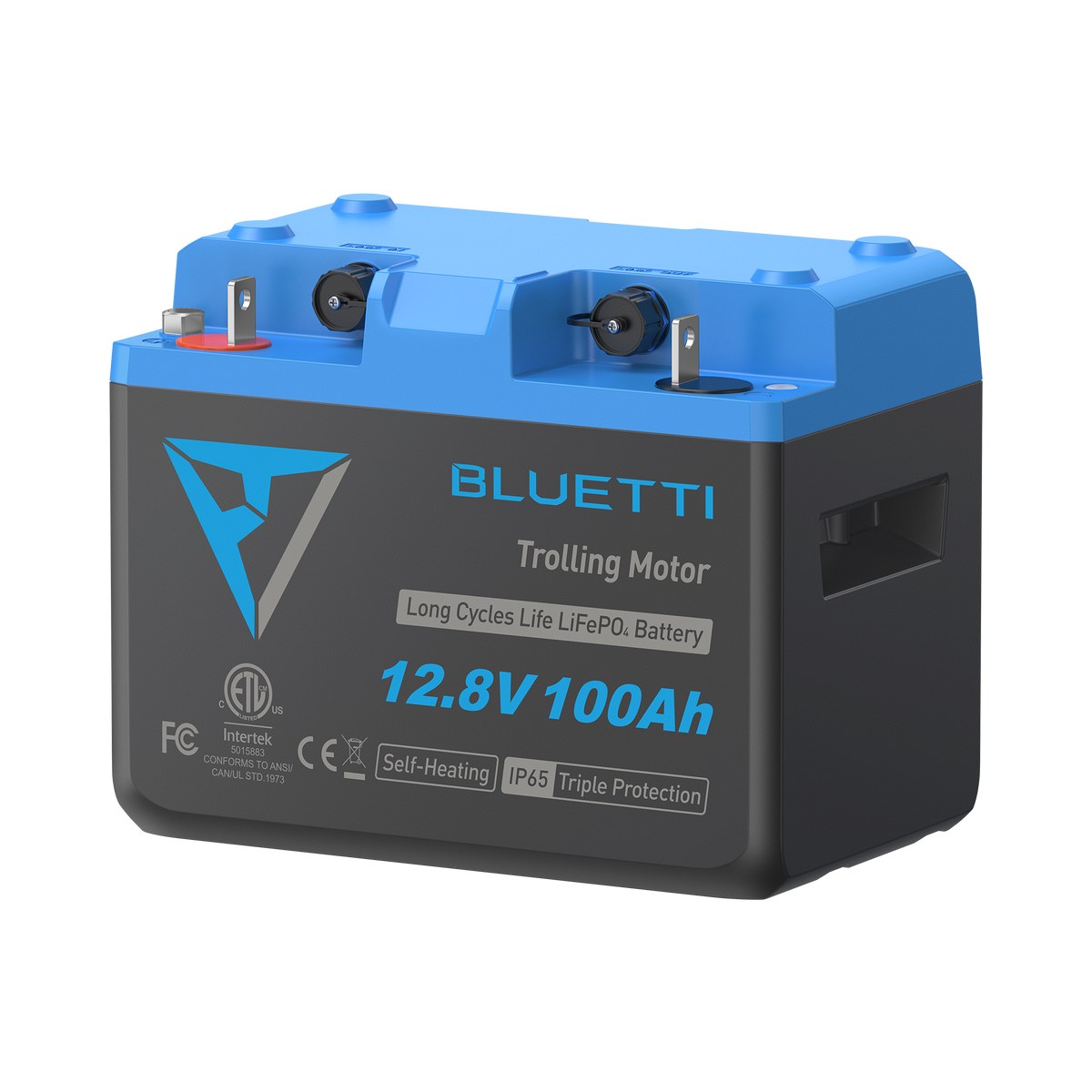 B1210 Batteria LiFePO₄ per motore da traina | 12,8 V, 100 Ah (AMZ)