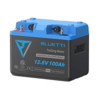 B1210 Batteria LiFePO₄ per motore da traina | 12,8 V, 100 Ah (AMZ)