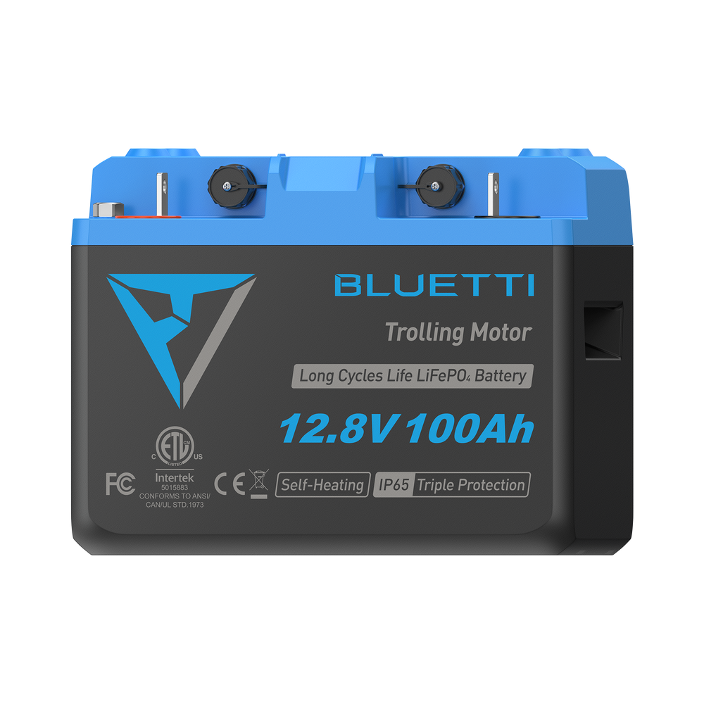 B1210 Batteria LiFePO₄ per motore da traina | 12,8 V, 100 Ah (AMZ)