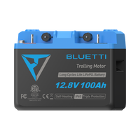 B1210 Batteria LiFePO₄ per motore da traina | 12,8 V, 100 Ah (AMZ)