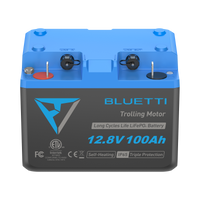B1210 Batteria LiFePO₄ per motore da traina | 12,8 V, 100 Ah (AMZ)