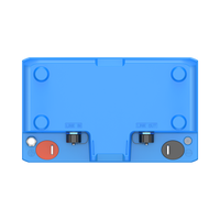 B1210 Batteria LiFePO₄ per motore da traina | 12,8 V, 100 Ah (AMZ)