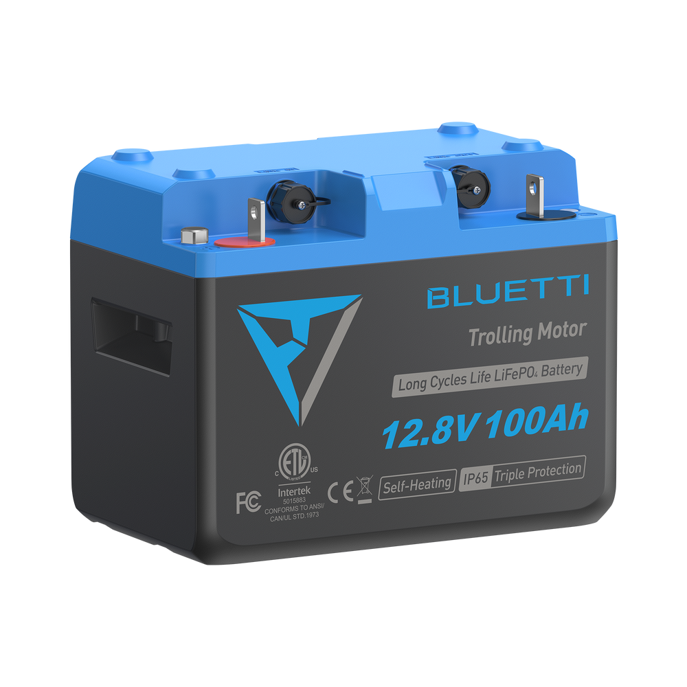B1210 Batteria LiFePO₄ per motore da traina | 12,8 V, 100 Ah (AMZ)