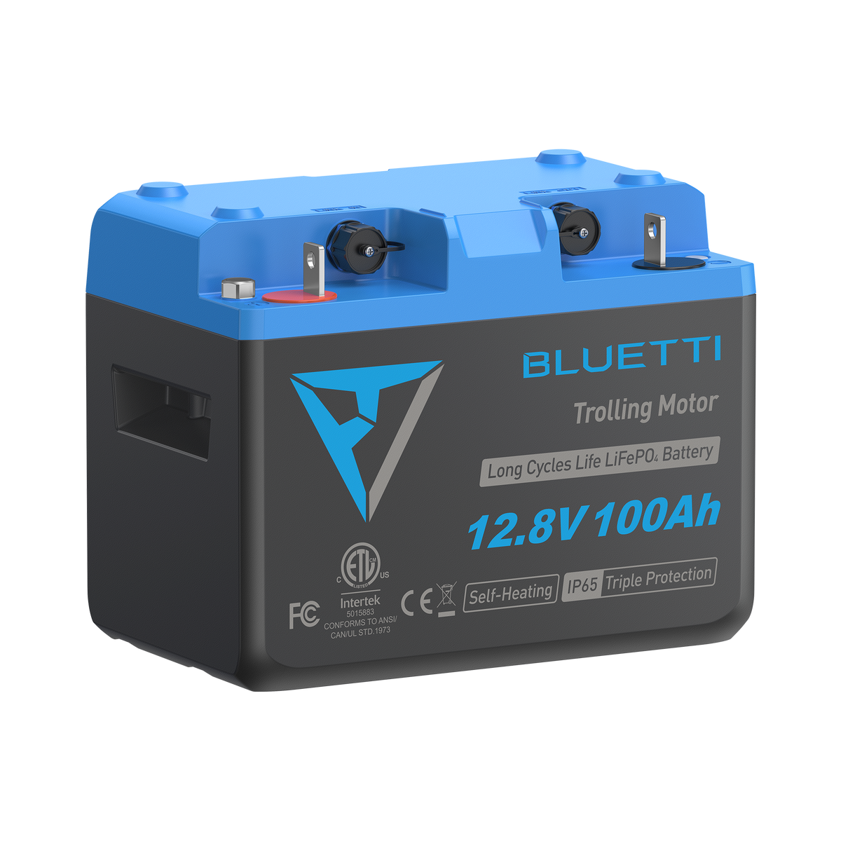 B1210 Batteria LiFePO₄ per motore da traina | 12,8 V, 100 Ah (AMZ)