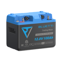 B1210 Batteria LiFePO₄ per motore da traina | 12,8 V, 100 Ah (AMZ)