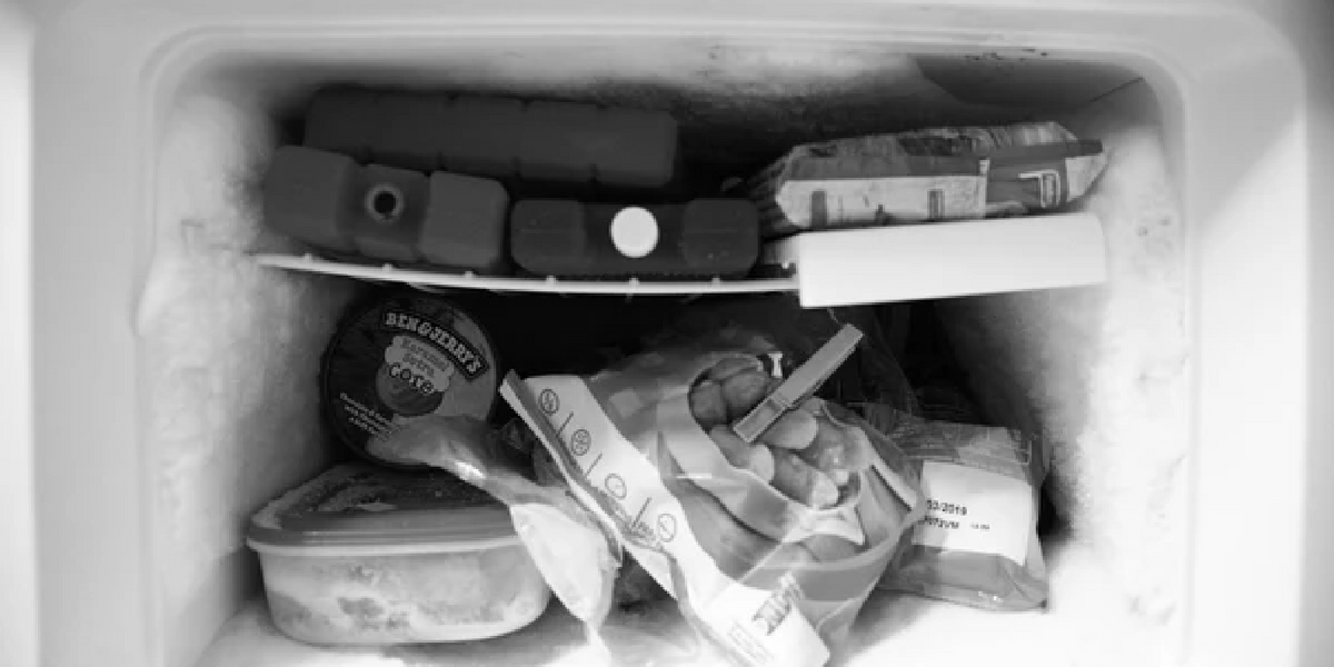 Freezer Senza Corrente? Come Alimentarlo con Batterie e Pannelli Solari