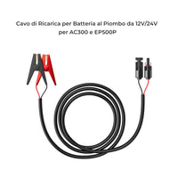 Cavo di ricarica per batteria al piombo da 12 V/24 V per AC200/P/MAX/AC300/EP500Pro