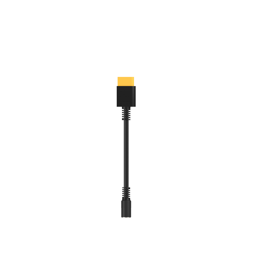 Cavo Da XT90 a DC7909 Per AC200/AC200P/AC200Max